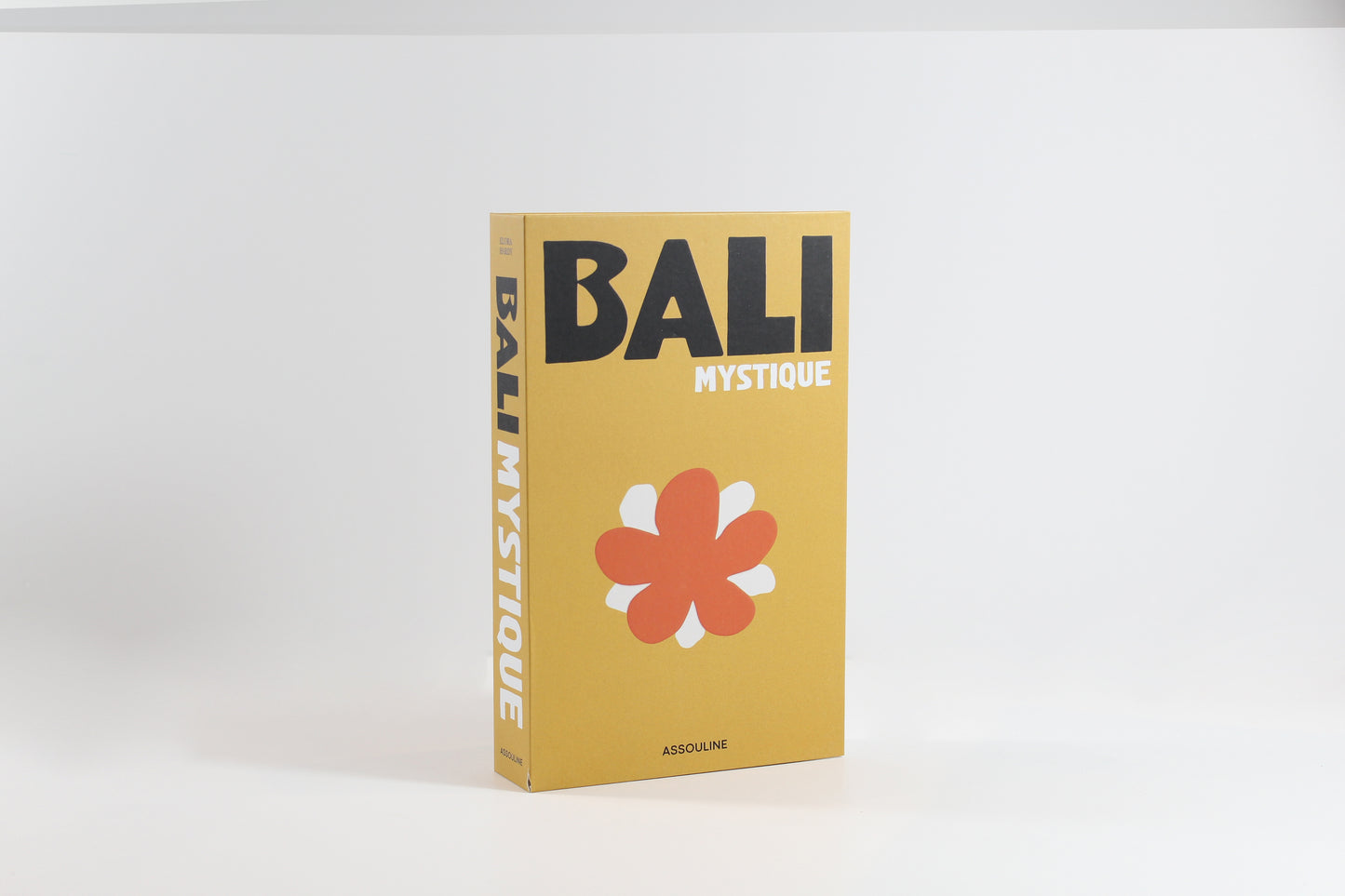 Fake Books With Magnets